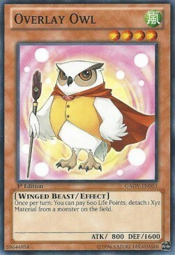 Overlay Owl Card Front