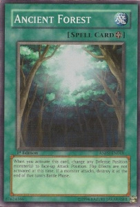 Ancient Forest Card Front