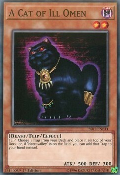 Un Gatto della Sfortuna Card Front