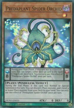 Predaplant Spider Orchid Card Front