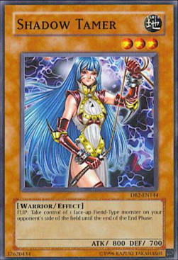 Shadow Tamer Card Front