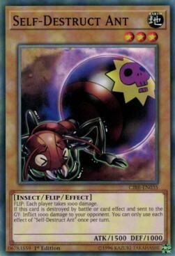 Self-Destruct Ant Card Front