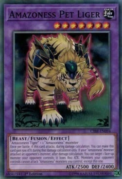Amazoness Pet Liger Card Front