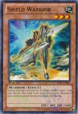 Shield Warrior Card Front