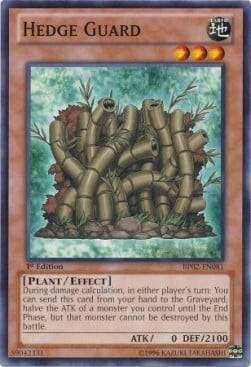 Hedge Guard Card Front