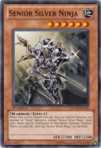 Senior Silver Ninja Card Front